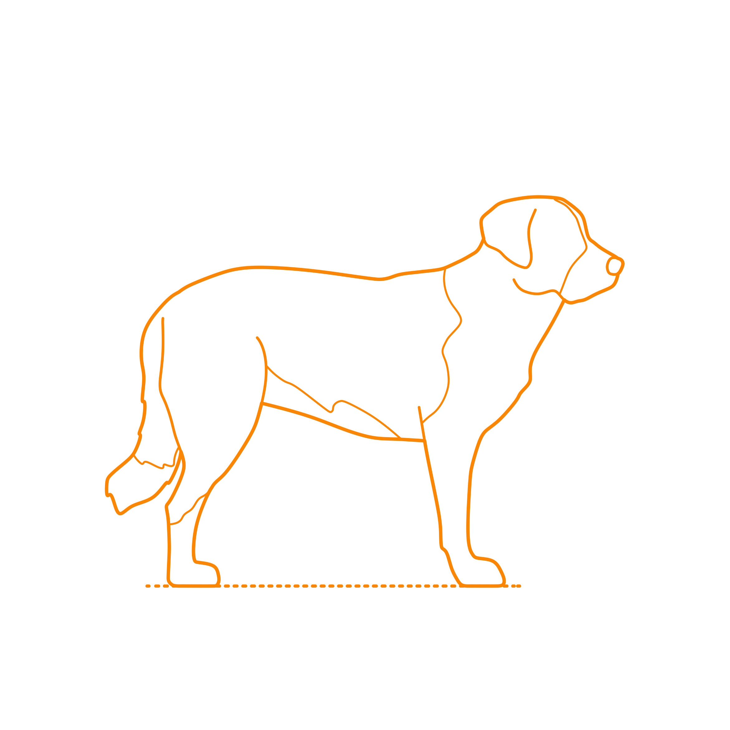 Animals Dogs Rafeiro Do Alentejo Sketch Style Svg Vector Free Vectors